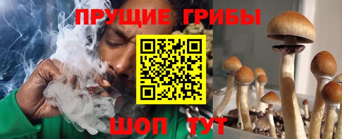 Сорочинск  Галлюциногенные грибы Psilocybine cubensis  цены   Вход с VPN 